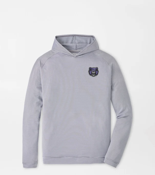Central Arkansas Pine Sugar Stripe Performance Hoodie in Iron