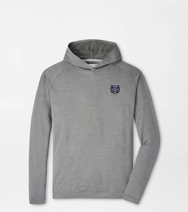Central Arkansas Pine Performance Hoodie in Iron