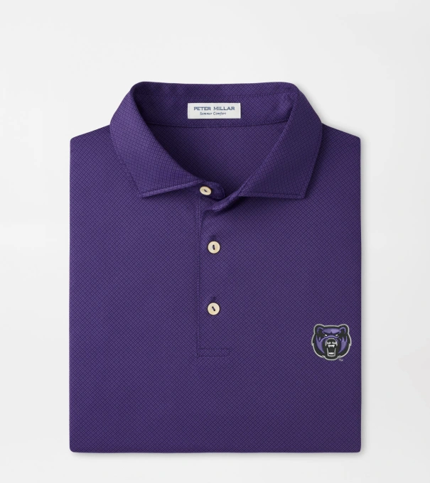 Central Arkansas Hugo Performance Jersey Polo in Purple2
