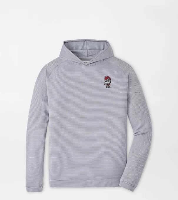 South Carolina Vault Pine Sugar Stripe Performance Hoodie in Iron