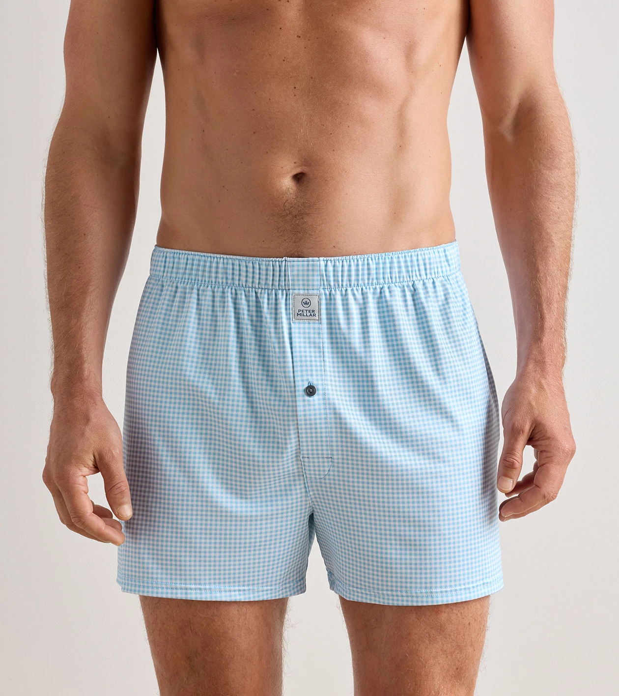 Nebraska Printed Gingham Check Stretch Jersey Boxer in Cottage Blue - Alternate Image 1