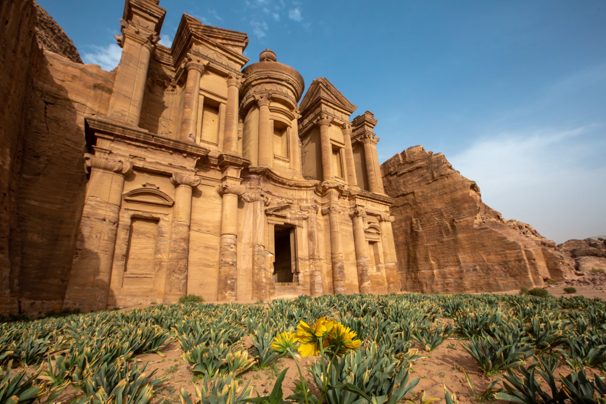 Petra Day Tour from Amman Private