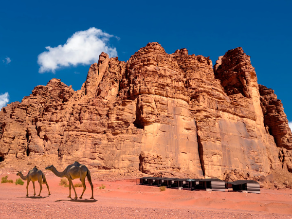 Bedouin Camp in Wadi Rum