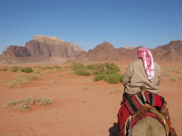 Camel Ride in Wadi Rum