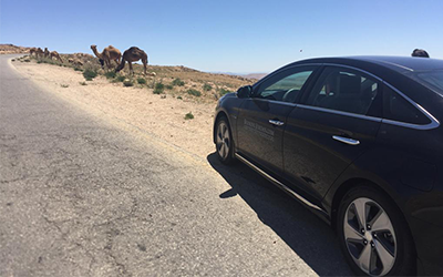 Transfer from Wadi Rum…