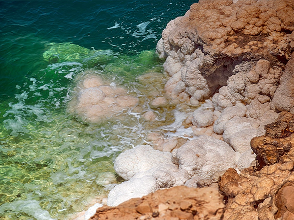 Dead Sea Coast