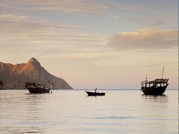 Dhow Cruise in Oman