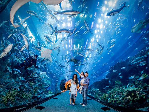 Dubai Aquarium