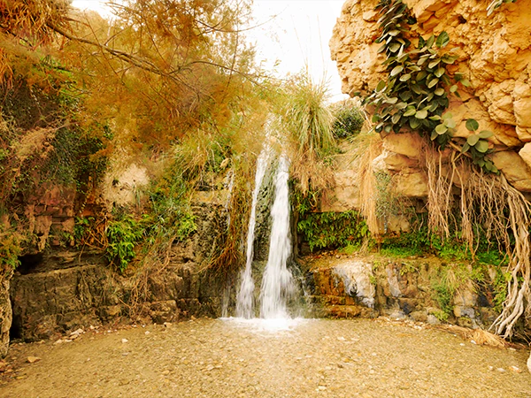 Ein Gedi