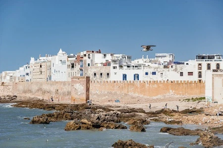11 Day Morocco Tour:…