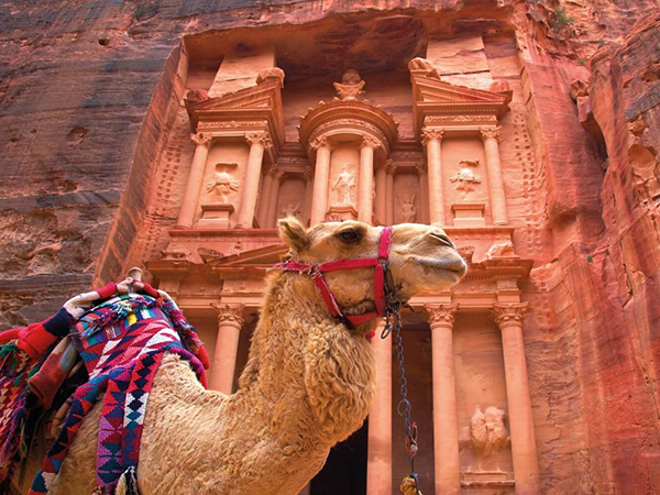 A Camel in front of the Treasury