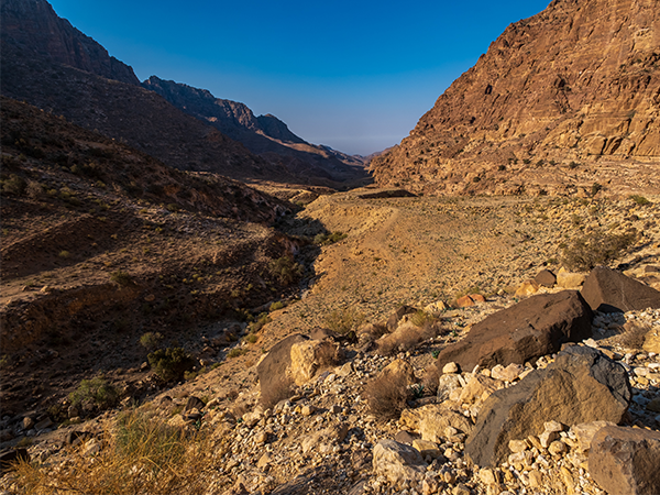 Dana Biosphere Reserve