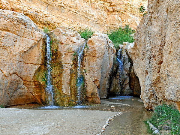 Tamerza Oasis