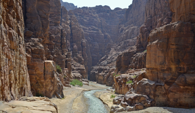 Maravillas y wadis:…