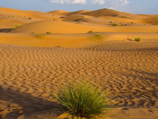 Wahiba Sands Oman