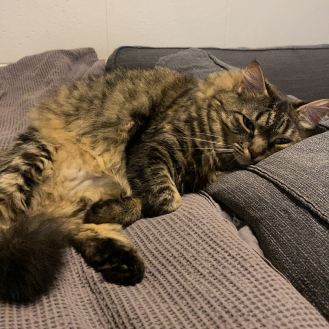 Photo of Bean