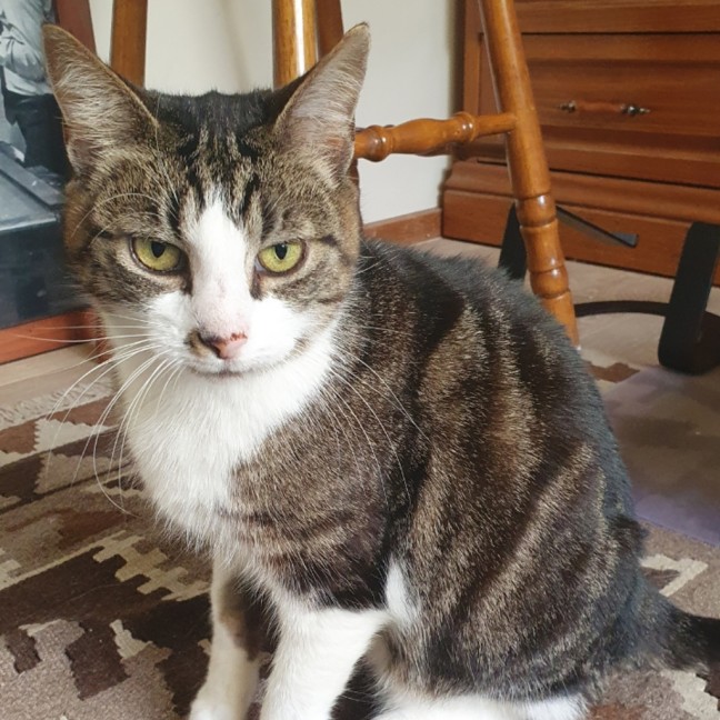 Photo of Boots