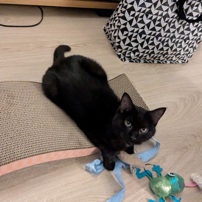 Photo of Lucy