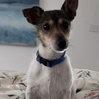 Photo of Charlie