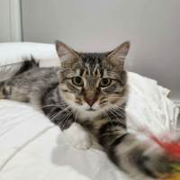 Photo of Sugar