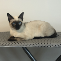 Photo of Ralph