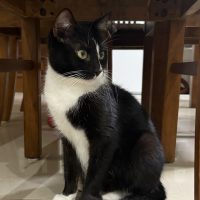 Photo of Jasmine