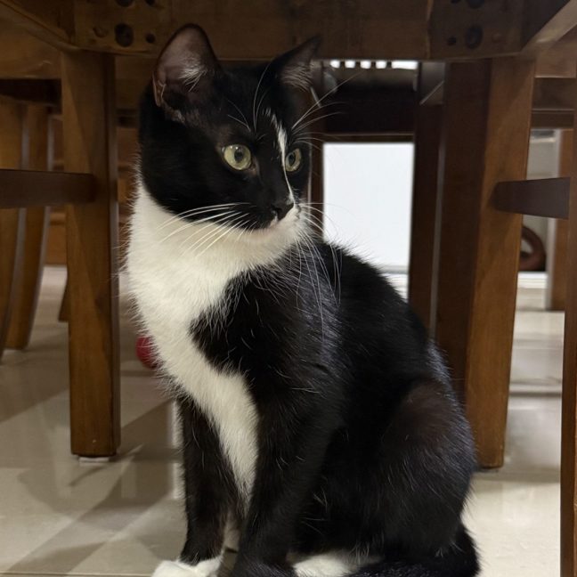 Photo of Jasmine
