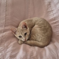 Photo of Sandy