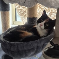 Photo of Carmie
