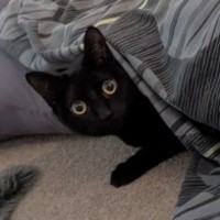 Photo of Jasmine