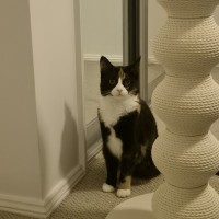 Photo of Carmie
