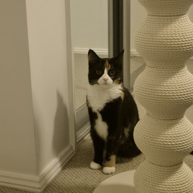Photo of Carmie