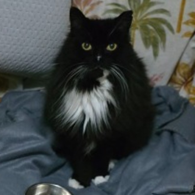 Photo of Boots (Located In Wantirna South)