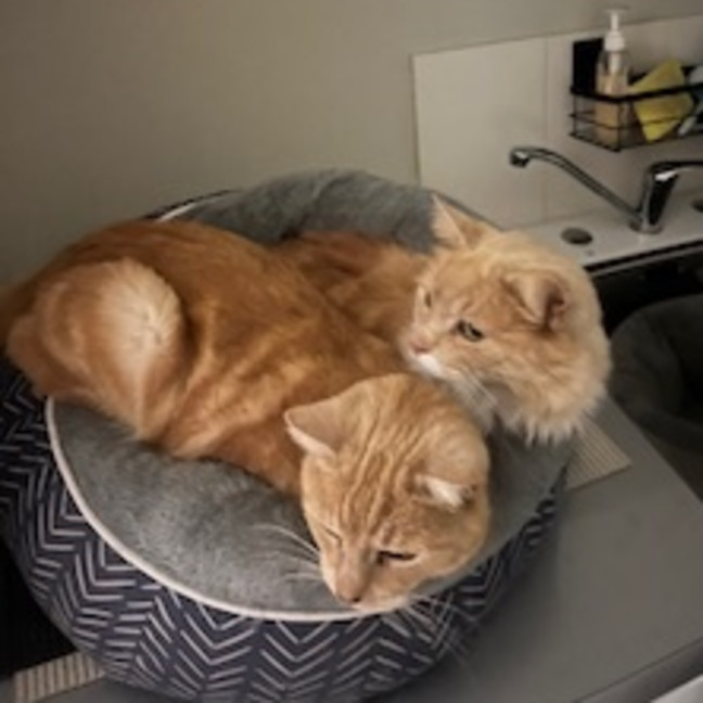 Photo of Eddie & Beryl