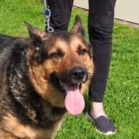 Photo of Duke