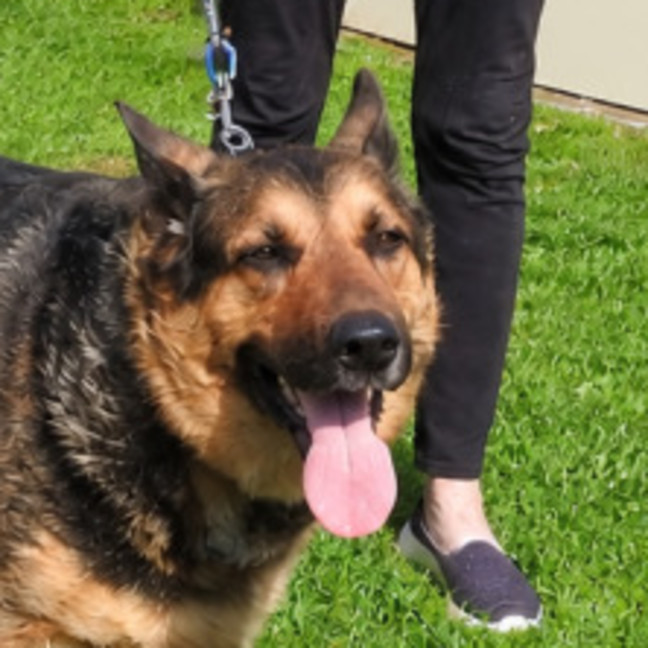 Photo of Duke
