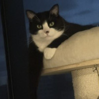 Photo of Freckle