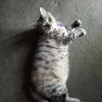 Photo of Ginny