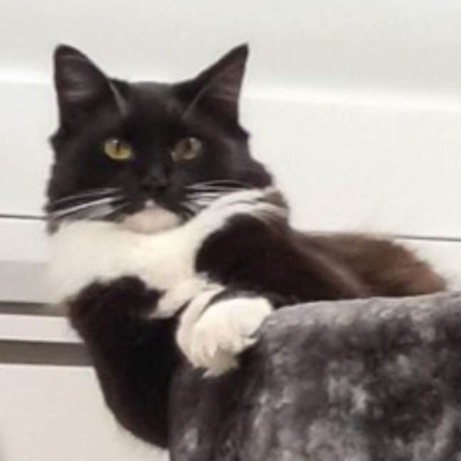 Photo of Charlie