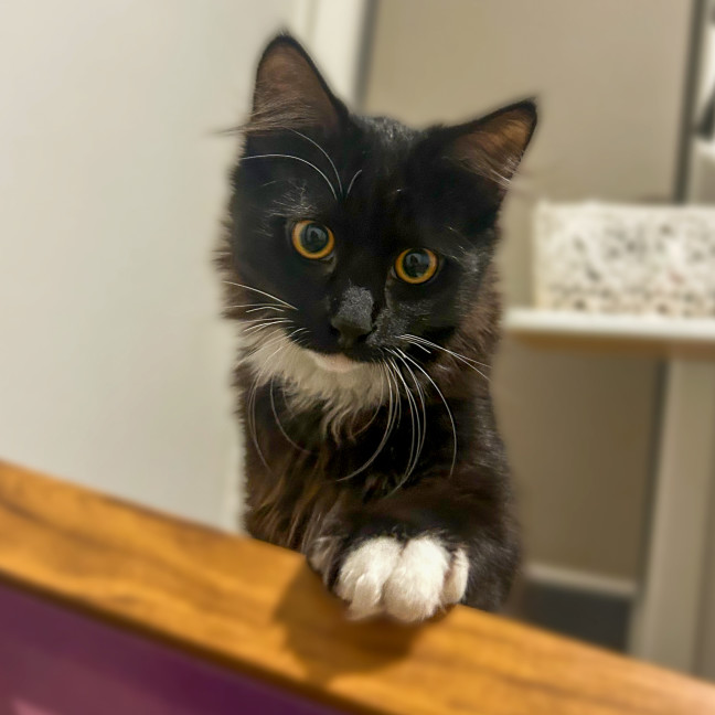 Photo of Billy