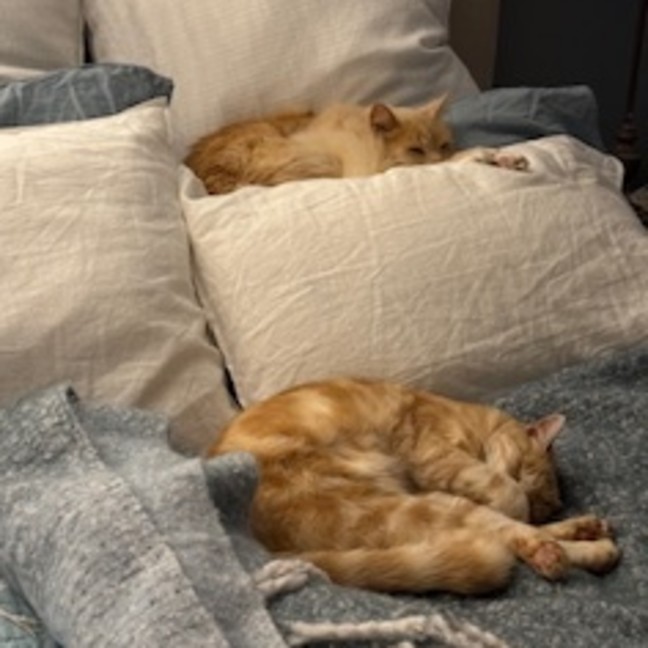 Photo of Eddie & Beryl