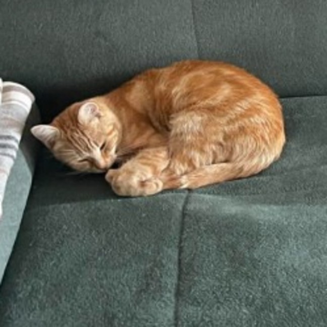 Photo of Mrs Garfield