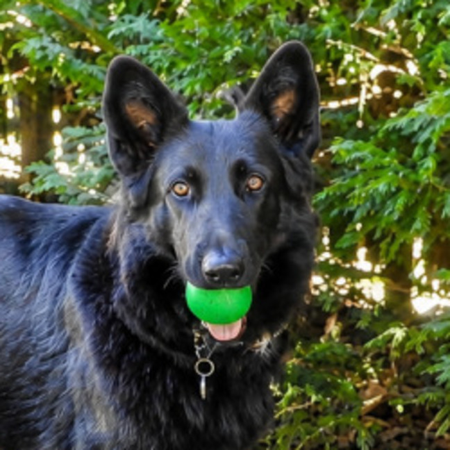 Photo of Lucy