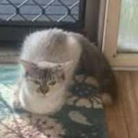 Photo of Dora