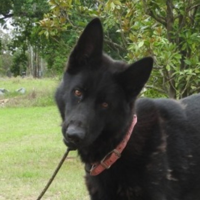 Photo of Lilith Aka Lily