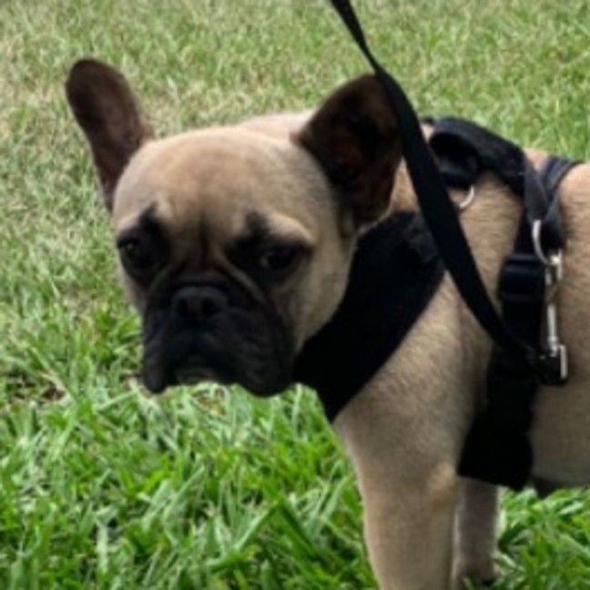Photo of Chanel