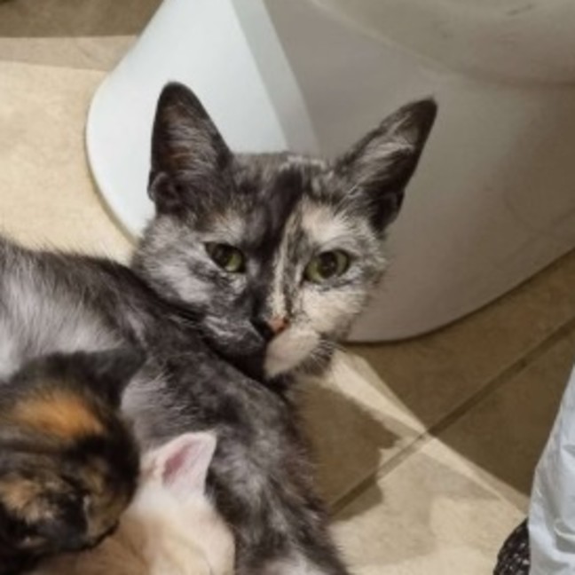 Photo of Olivia   Located In Preston