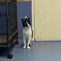 Photo of Stella
