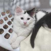 Photo of Charlie