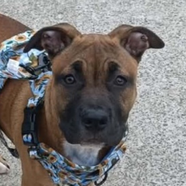 Photo of Athena